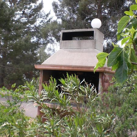 Apartmani Vesna Vir Εξωτερικό φωτογραφία